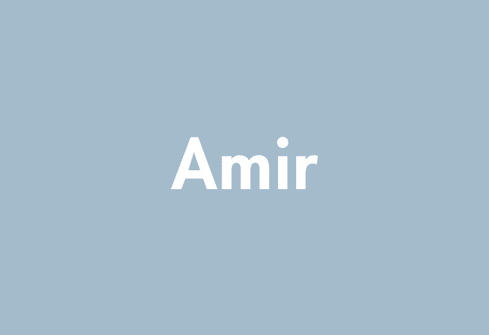 Amir meaning