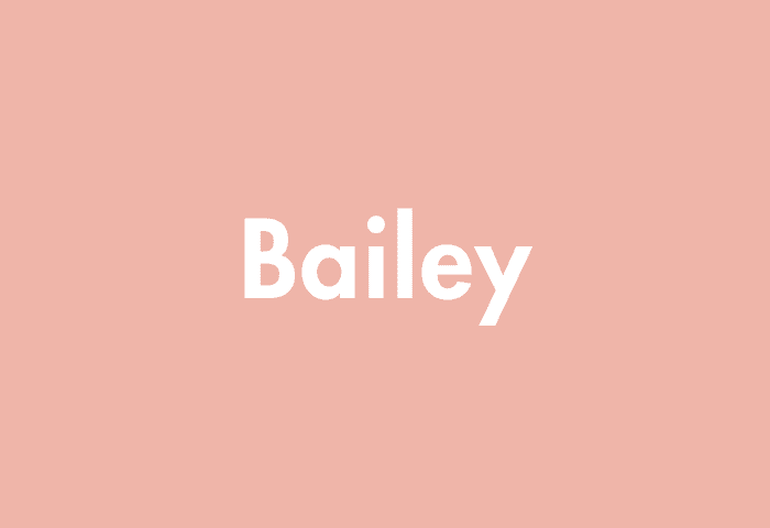 Bailey meaning