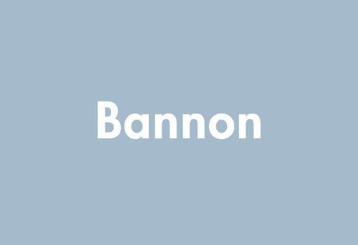 Bannon meaning