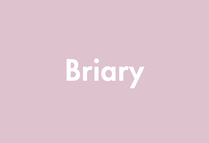 Briary meaning