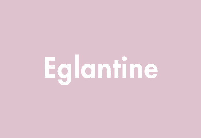 Eglantine meaning