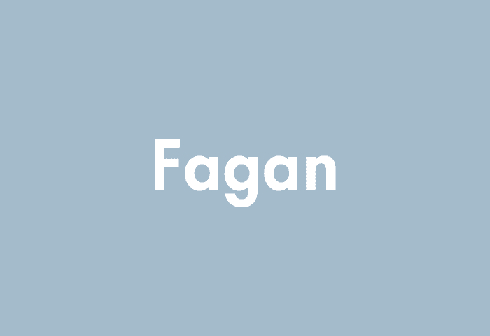 Fagan meaning