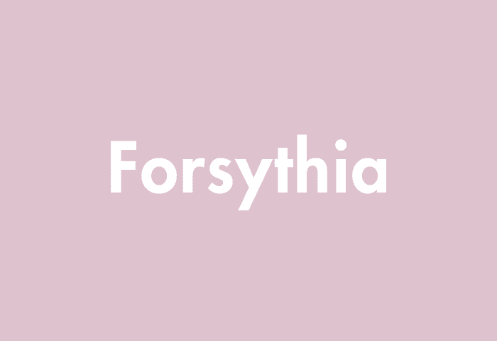 Forsythia meaning