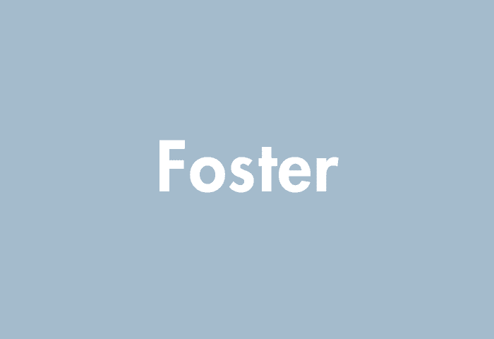 Foster meaning