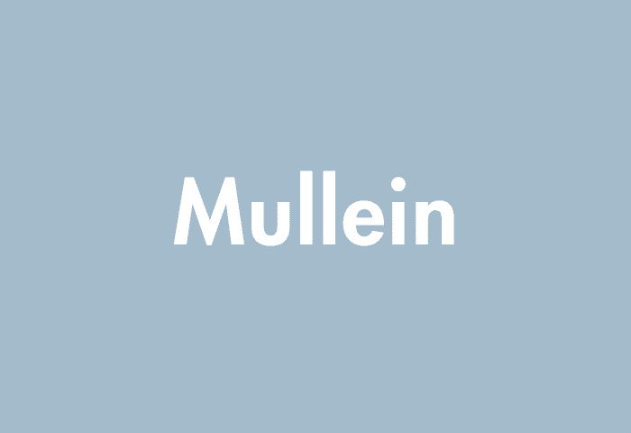 Mullein meaning