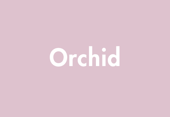 Orchid meaning