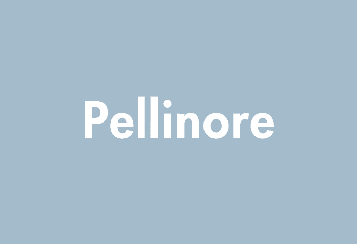 Pellinore meaning