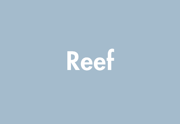Reef meaning