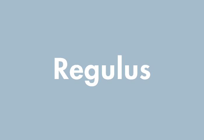 Regulus meaning