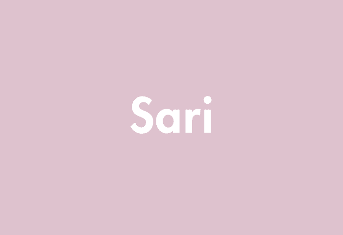 Sari meaning