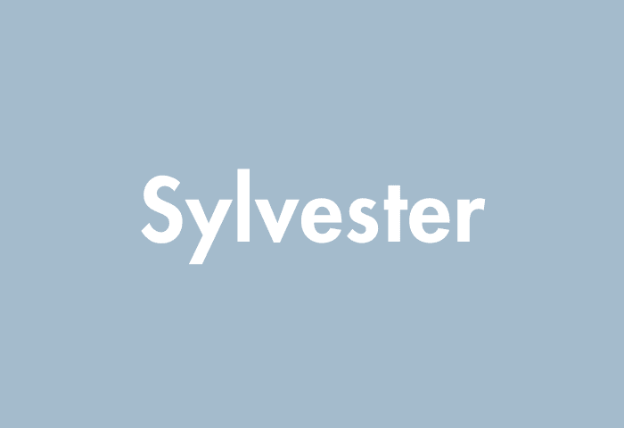 Sylvester meaning