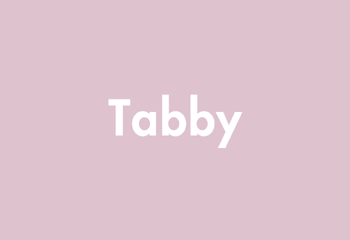 Tabby meaning