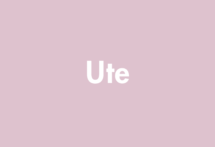 Ute meaning