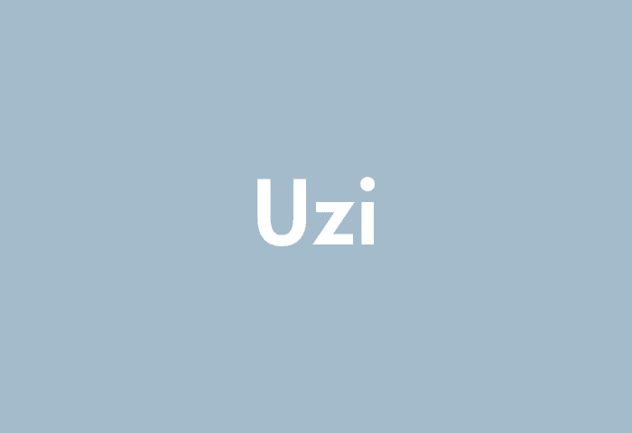 Uzi meaning