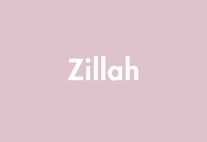 Zillah meaning