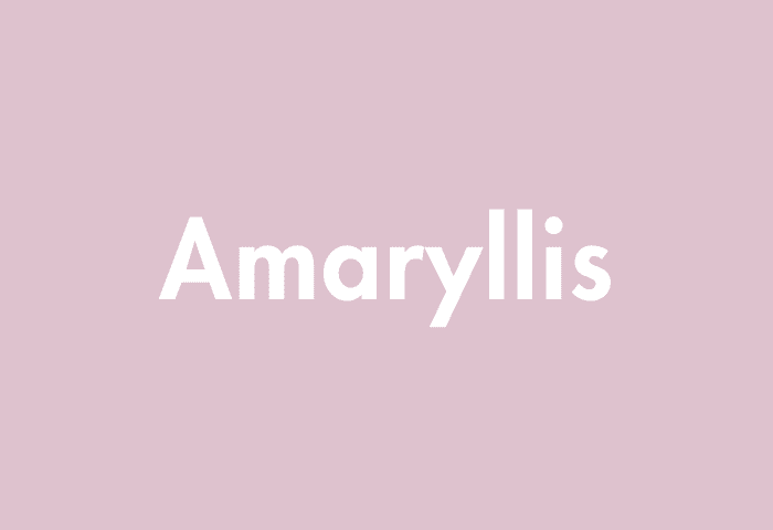 Amaryllis meaning