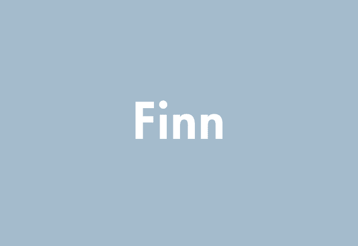 Finn meaning