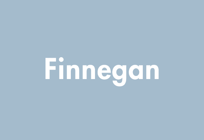 Finnegan meaning