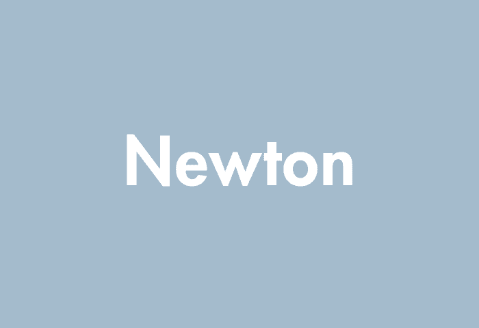 Newton meaning