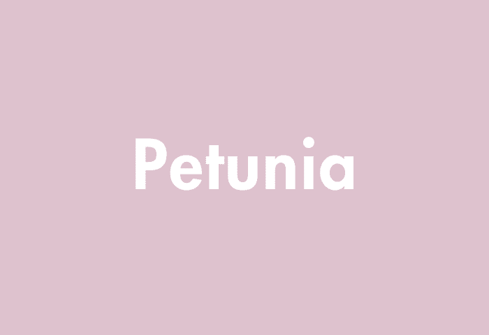Petunia meaning