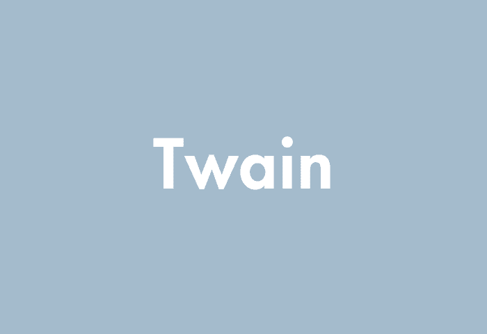 Twain meaning