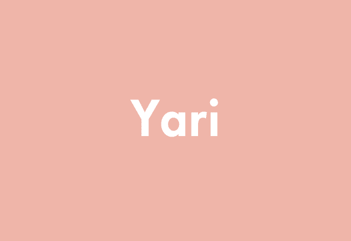 Yari meaning
