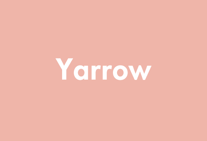 Yarrow meaning