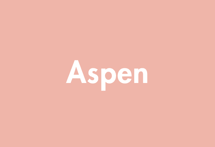 Aspen meaning