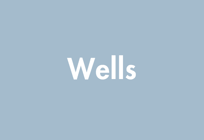 Wells meaning