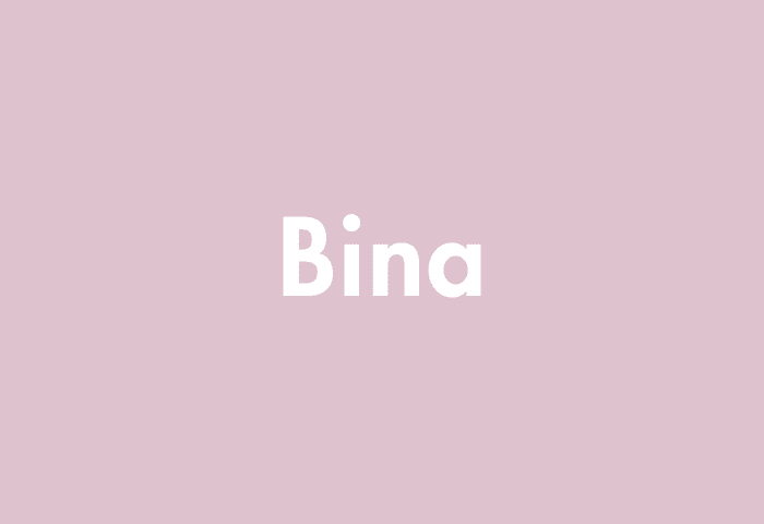 Bina meaning
