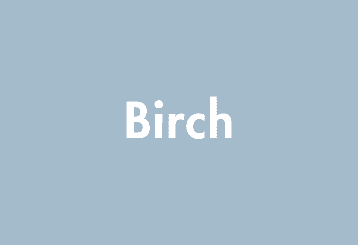 Birch meaning