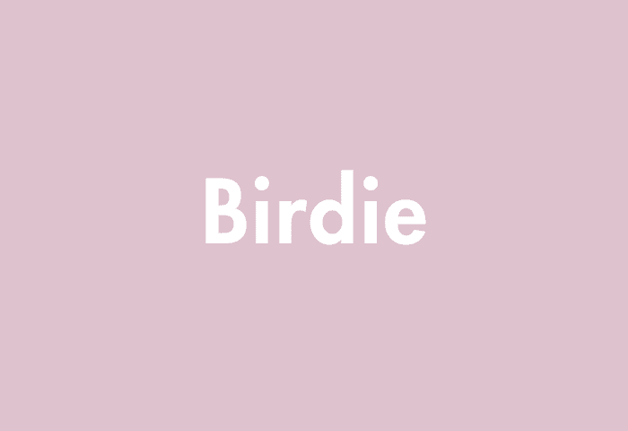 Birdie meaning