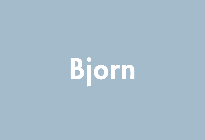 Bjorn meaning