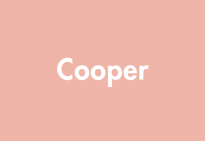 Cooper meaning