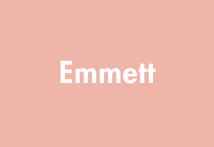Emmett meaning