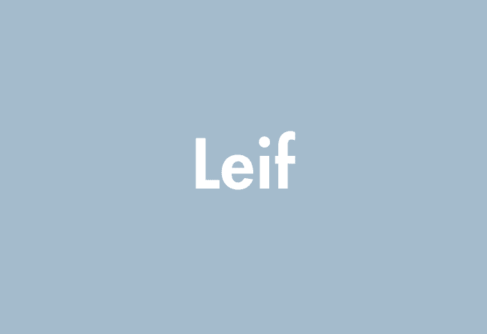 Leif meaning