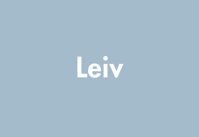 Leiv meaning