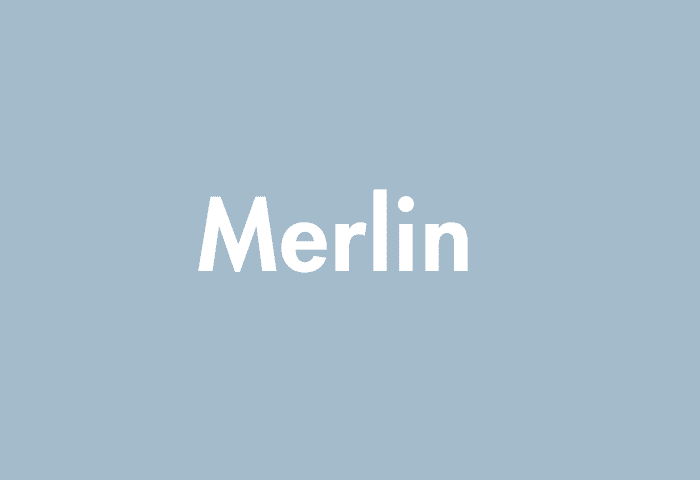 Merlin meaning