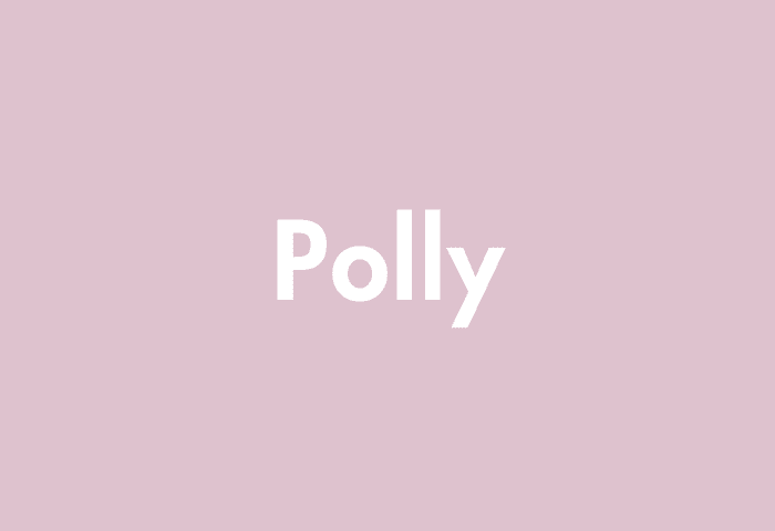 Polly meaning
