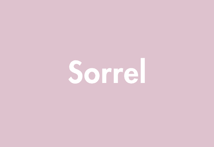 Sorrel meaning