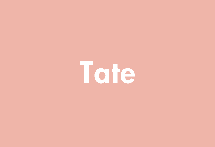 Tate meaning
