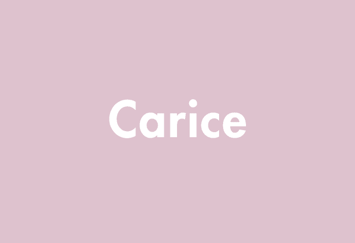 Carice meaning