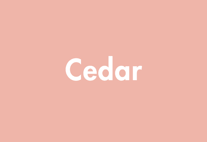 Cedar meaning