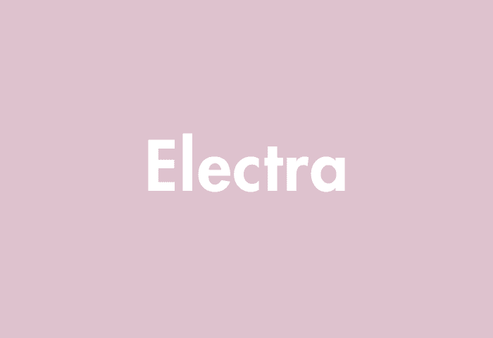 Electra meaning