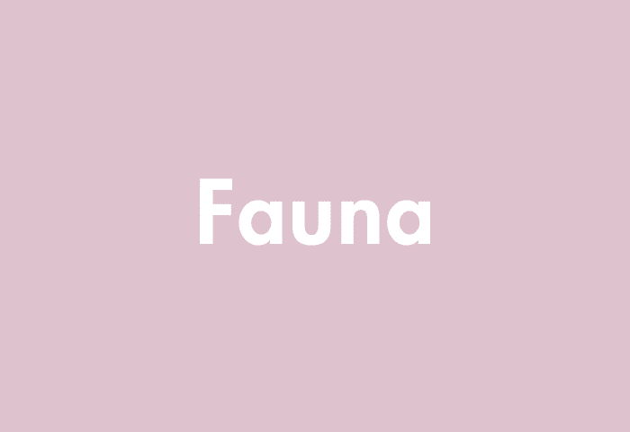 Fauna meaning