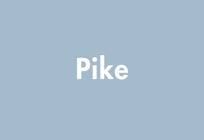 Pike meaning