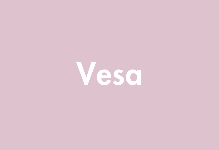 Vesa meaning