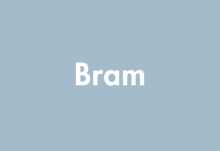 Bram meaning