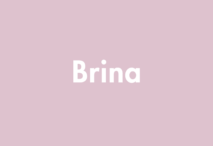 Brina meaning