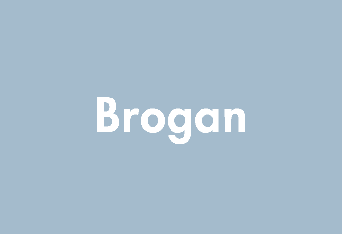 Brogan meaning
